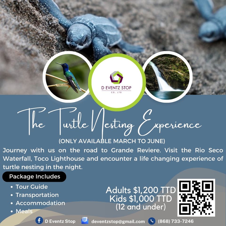 All Inclusive Turtle Nesting Experience