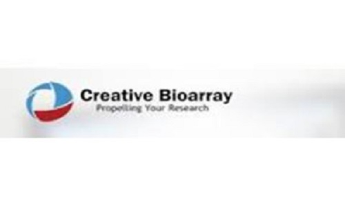 Read more about the article Creative Bioarray